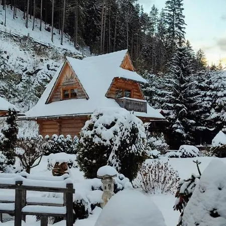 Adriana * דמנובסקה דולינה