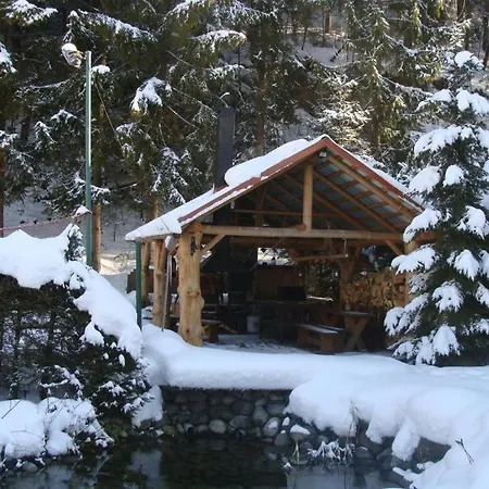 Adriana דמנובסקה דולינה